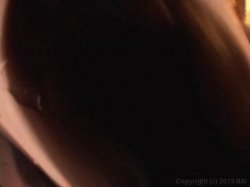 Captura de 'Cum On Baby Bite My Wire 3' nº 107