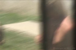 'Porn Stars at Home' screenshot nº 11