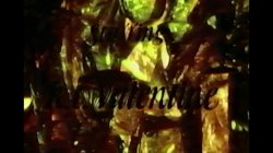 Captura de 'Triangle of Lust' nº 2