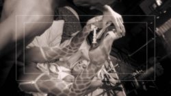 Captura de 'Murder Mystery Weekend' nº 128