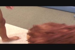 'My Hot Wife is Fucking Blackzilla 2' screenshot nº 40