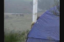 'Army Brat 2' screenshot nº 112