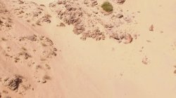 Captura de 'Arabian Nights' nº 1