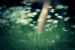 Captura de 'Ingenuous, The (French)' nº 18