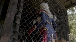 Captura de 'Captain Marvel XXX: An Axel Braun Parody' nº 99