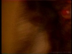 Captura de 'Ginger Lynn & Co' nº 41
