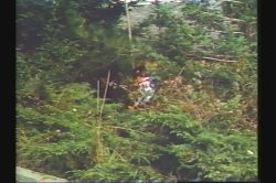'Cock Whore Classics' screenshot nº 46