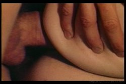 Captura de 'Best of John Holmes, The' nº 60