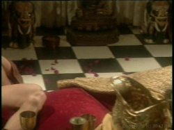 Captura de 'Hollywood Orgies: Dyanna Lauren' nº 21