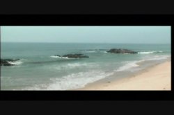 Captura de 'Wild Honey Part 1' nº 2