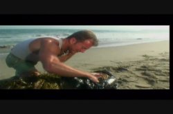 Captura de 'Wild Honey Part 2' nº 1
