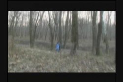 'Lake' screenshot nº 106