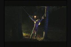 'Lake' screenshot nº 113