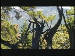 'In The Open' screenshot nº 16