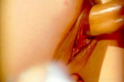 Captura de 'Pinup Perversions With Roxy Jezel' nº 76