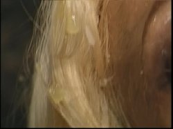 Captura de 'American Bukkake 7' nº 86