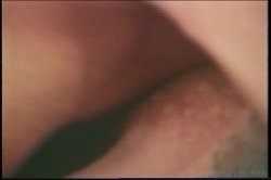 'Phaedra Grant Collection' screenshot nº 32