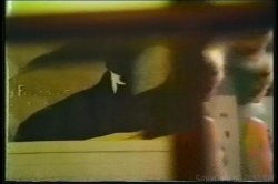 'Phaedra Grant Collection' screenshot nº 137
