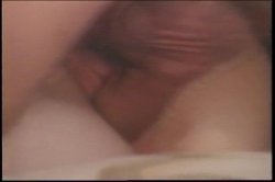'Phaedra Grant Collection' screenshot nº 16