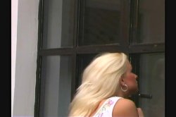 Captura de 'International Anal Queens' nº 3