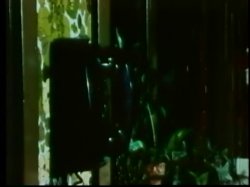 Captura de 'Linda Wong Collection' nº 121