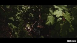 Captura de 'Fit for Fuck' nº 126