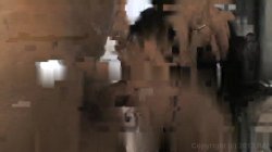 'Omar's Ass Madness' screenshot nº 83