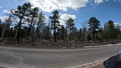 'Tiffany Leiddi Road Trip' screenshot nº 115