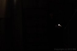 Captura de 'Sex Files' nº 127