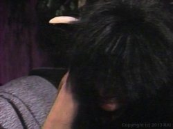 Captura de 'Howard Sperm Show' nº 118