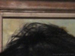 Captura de 'Howard Sperm Show' nº 123