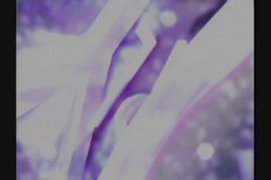 Captura de 'Naughty and Uncensored' nº 131