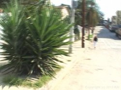 'Adventures Of Milf Man 5' screenshot nº 39