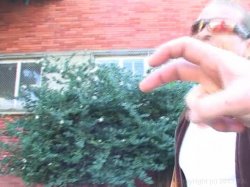 'Adventures Of Milf Man 5' screenshot nº 1