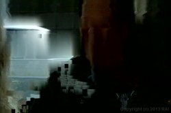 Captura de 'Candida Royalle's Eyes of Desire 2' nº 66