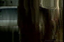 Captura de 'Candida Royalle's Eyes of Desire 2' nº 13