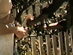 Captura de 'Dad's Dirty Movies - Volume 24' nº 1