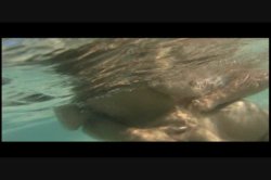 'Sex Bites' screenshot nº 10