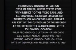 'Mr. Peepers Amateur Home Videos Vol. 16' screenshot nº 1
