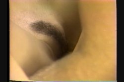 'Mr. Peepers Amateur Home Videos Vol. 16' screenshot nº 105