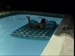 Captura de 'Just Anal #15' nº 44
