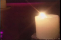 Captura de 'Cock Stops Here, The' nº 38