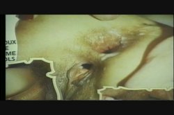 Captura de 'Face Banger's Ball' nº 12