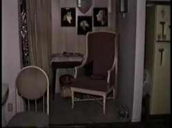 'Snack Attack' screenshot nº 6