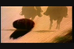 'Shame' screenshot nº 5