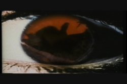 'Shame' screenshot nº 89