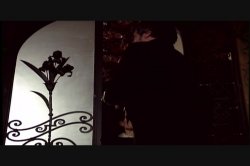 'Forever Night' screenshot nº 8