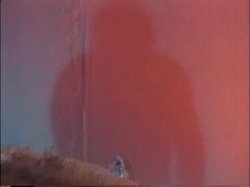 'Signature Series Vol. 1: Asia Carrera' screenshot nº 36