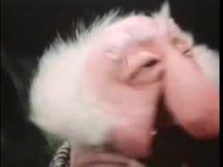 'Let My Puppets Come' screenshot nº 76