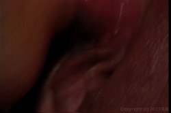 Captura de 'Echoes' nº 125